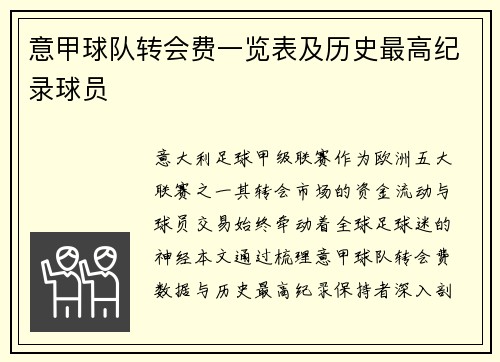 意甲球队转会费一览表及历史最高纪录球员