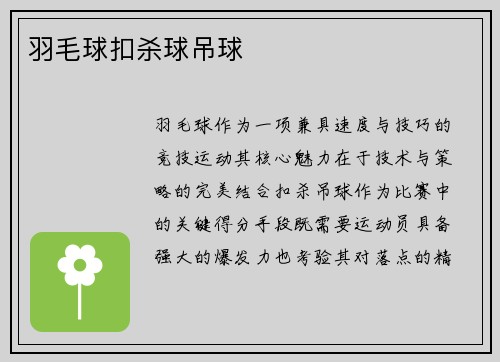 羽毛球扣杀球吊球